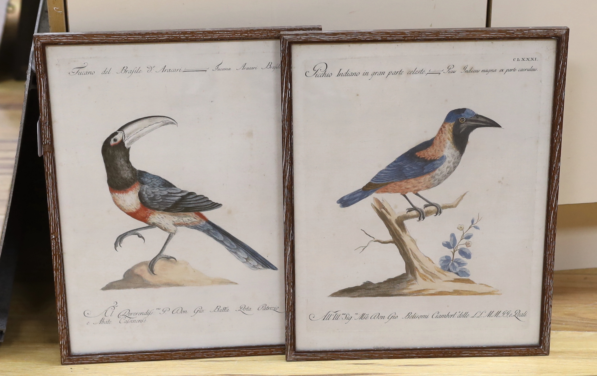 Violante Vanni (Italian, 1732–1776) and Lorenzo Lorenzi (Italian, active ca. 1750–80), two colour engravings, Woodpecker and one other, 39 x 30cm